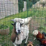 La P'tite Maison Les Tourelles