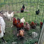 Nyaraló La P'tite Maison Les Tourelles *