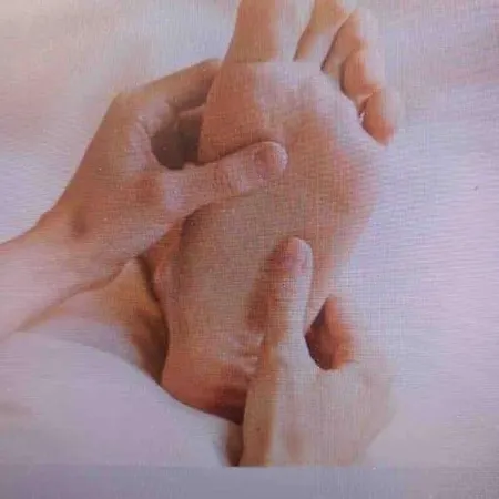 La P'tite Maison Les Tourelles Caffiers