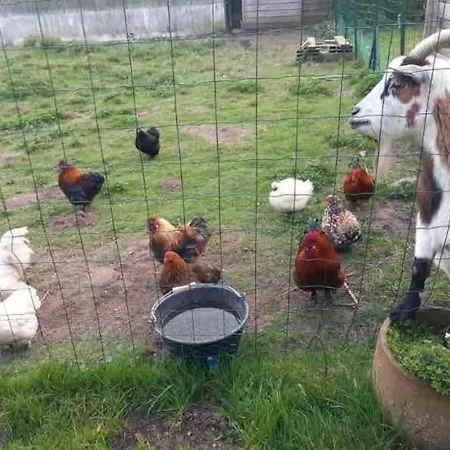 La P'tite Maison Les Tourelles