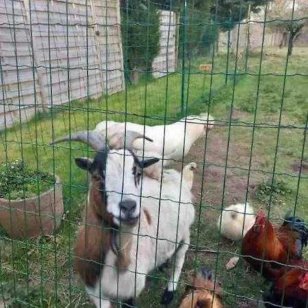 La P'tite Maison Les Tourelles