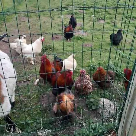 Casa de Férias La P'tite Maison Les Tourelles *