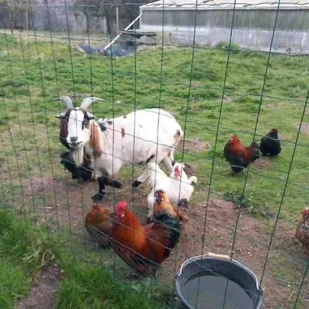 Casa de Férias La P'tite Maison Les Tourelles Caffiers